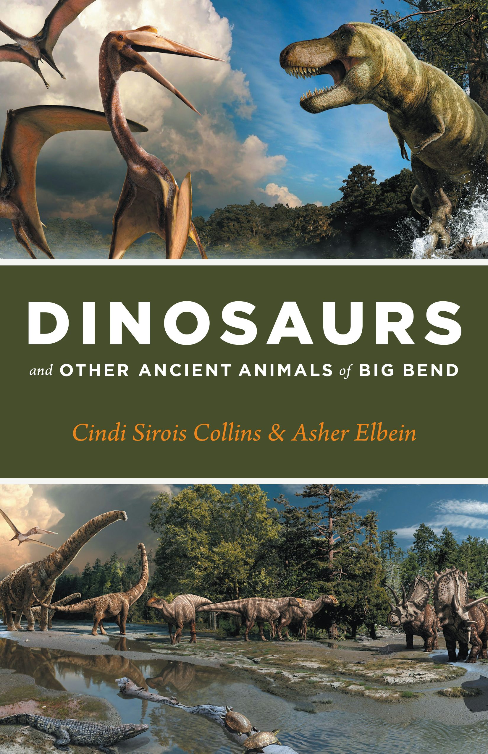 Dinosaurs and Other Ancient Animals of Big Bend by Cindi Sirois Collins and Asher Elbein
