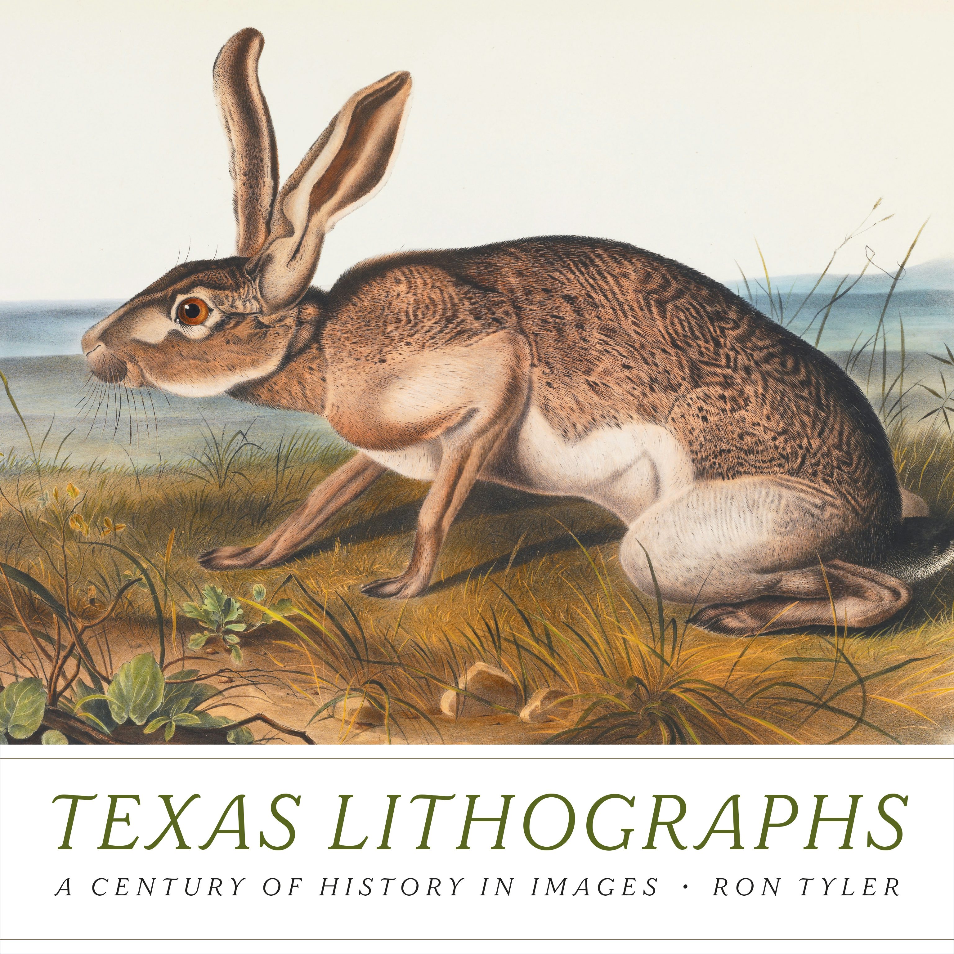 Texas Lithographs: A Century of History in Images